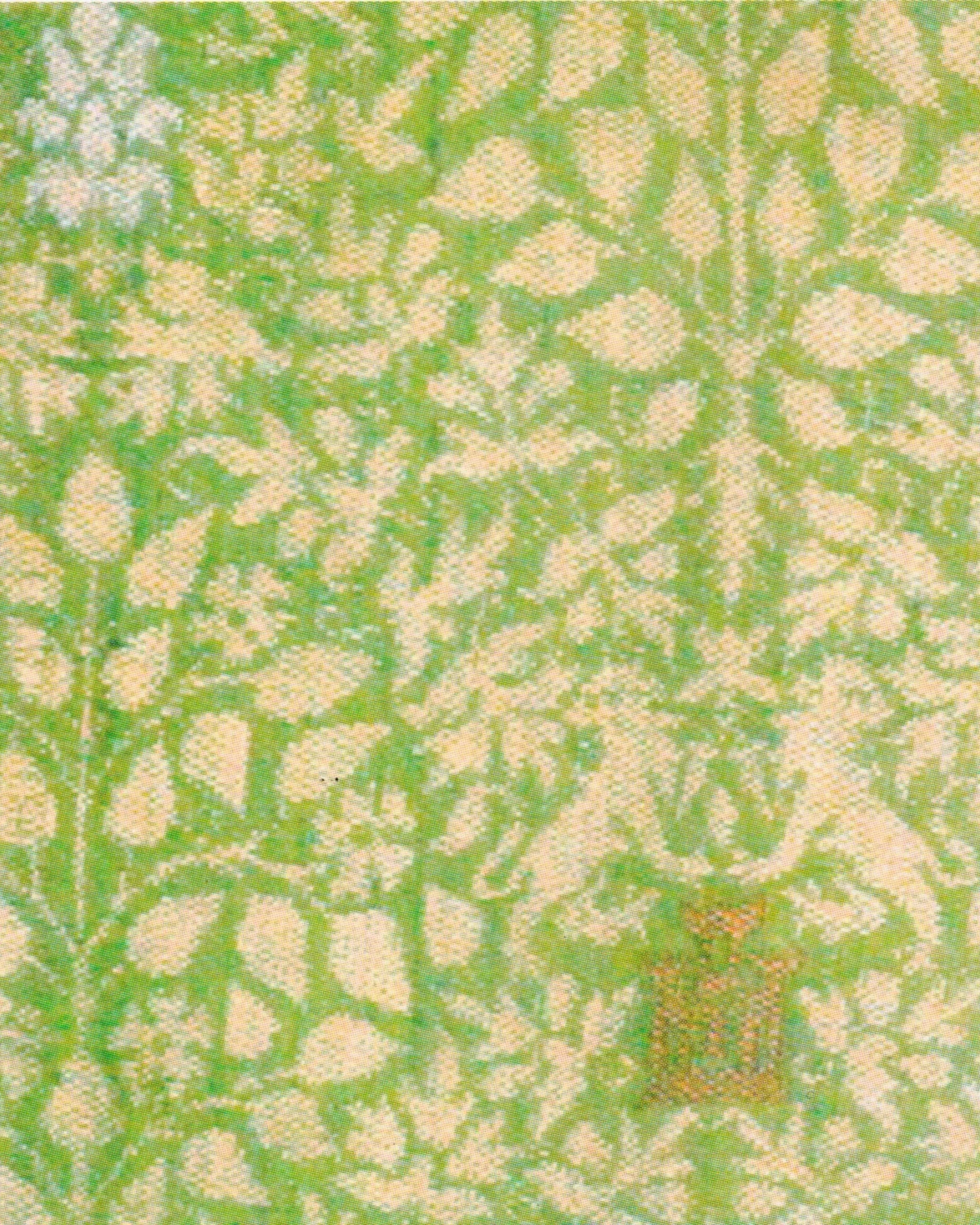 Frammento di tessuto a piccoli motivi vegetali e animali, lampasso, seta, Lucca, prima metà XIV secolo (Lione, Musée des Tissus, inv. n. 22.777)
Textile fragment with small plant and animal motifs, lampas, silk, Lucca, first half of the 14th century (Lyon, Musée des Tissus, inv. no. 22.777)